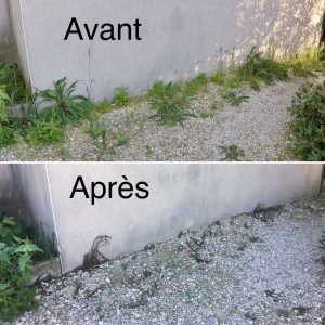 Hydro Désherbage avant après